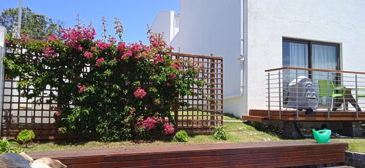 Vlei Cove Guesthouse Kapstaden Exteriör bild