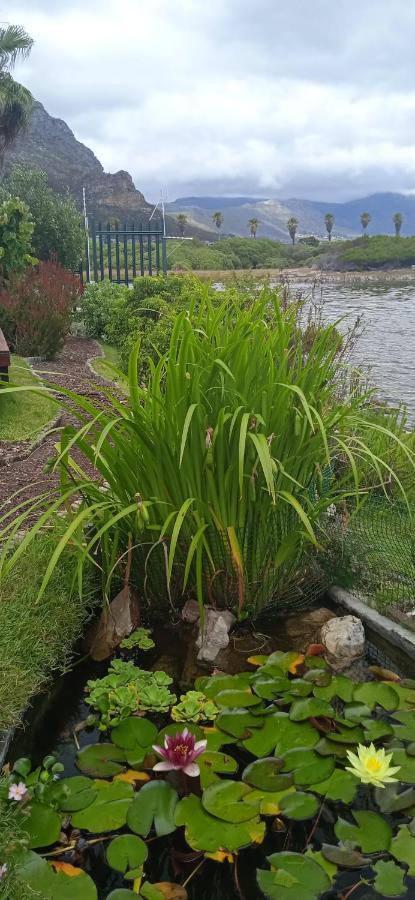 Vlei Cove Guesthouse Kapstaden Exteriör bild