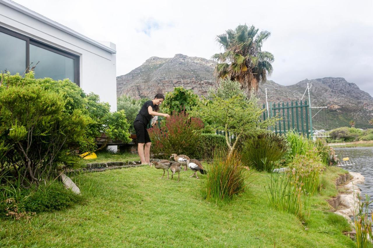 Vlei Cove Guesthouse Kapstaden Exteriör bild